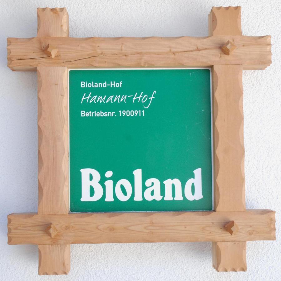 Biohof Hamann Villa Sarentino ภายนอก รูปภาพ