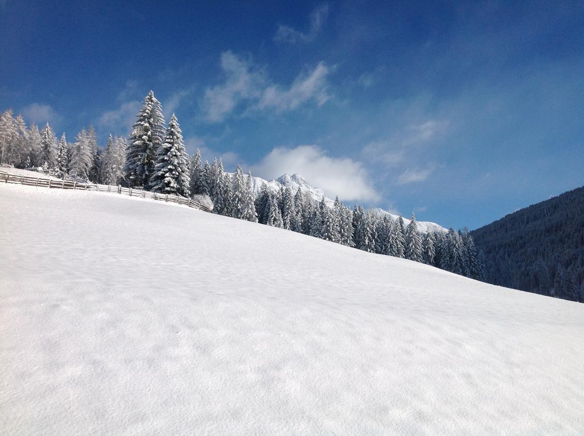 Biohof Hamann Villa Sarentino ภายนอก รูปภาพ